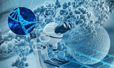 生物基材料及中間體研發商利夫生物完成近兩億元B輪融資